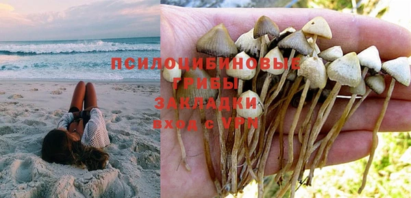 PSILOCYBIN Бородино